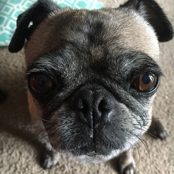 Meet your Posher, Rebecca - Picture 1 of 1